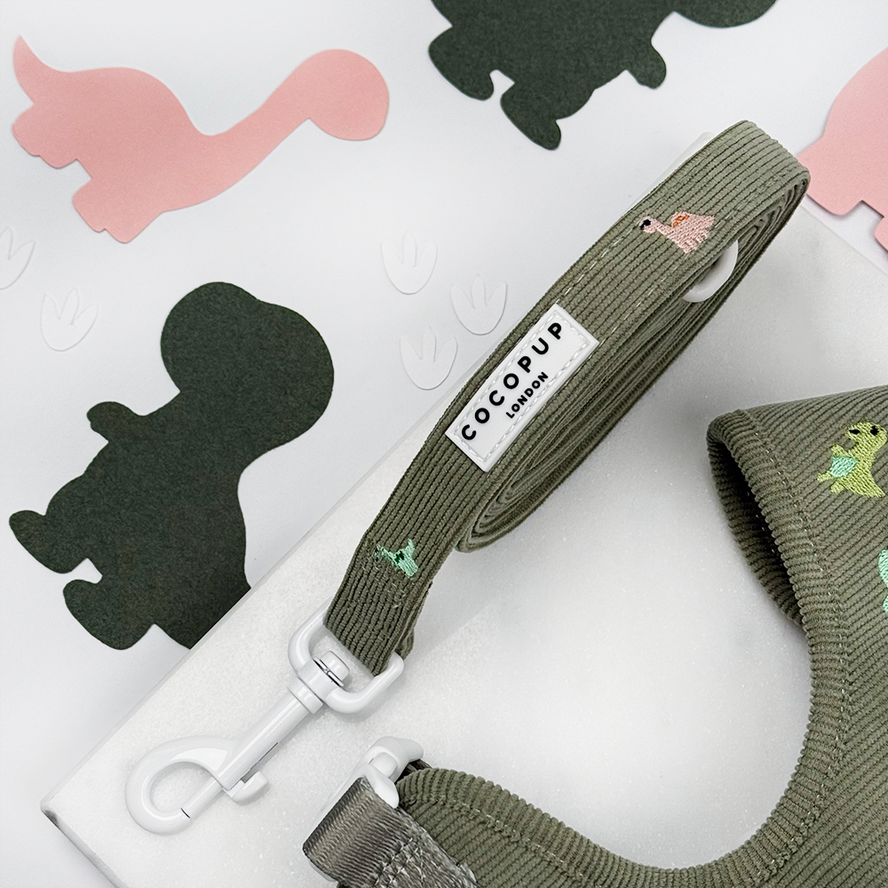 Green corduroy material Dog Lead with embroidered dinosaurs. White clasp. 