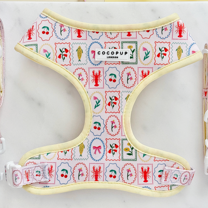 Dolce Vita Adjustable Neck HARNESS