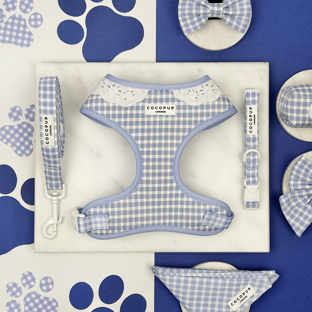 Blue and white checkered, gingham design Dog Harness, Collar & Lead set.