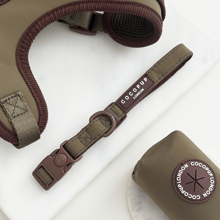 Farmhouse Moss Green Adjustable Neck Harness, Lead & Collar Bundle