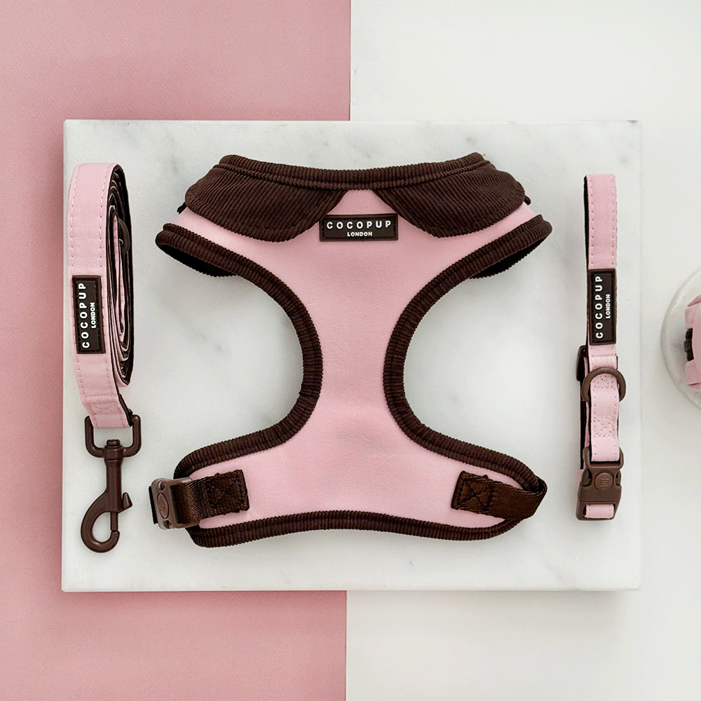 Farmhouse Dusty Pink Adjustable Neck Harness, Lead & Collar Bundle