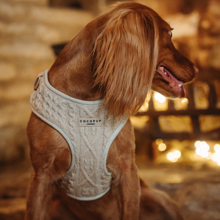 Cable Knit Jumper Adjustable Neck Harness - Toffee Pup Latte