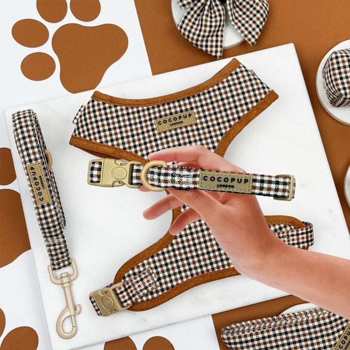 Heritage Check Adjustable Neck Harness, Lead & Collar Bundle