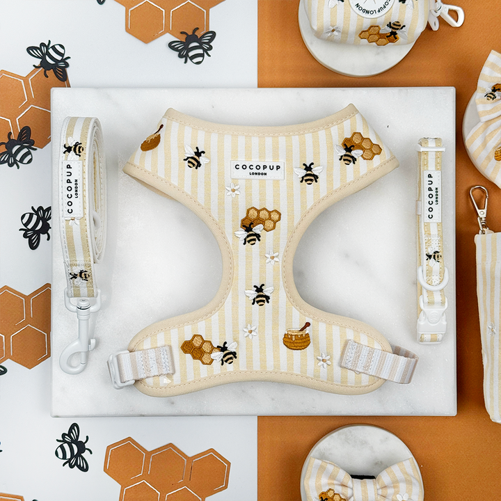 Pale yellow and white striped Dog Harness, Lead & Collar with bee and honeycomb embroidered decals. 