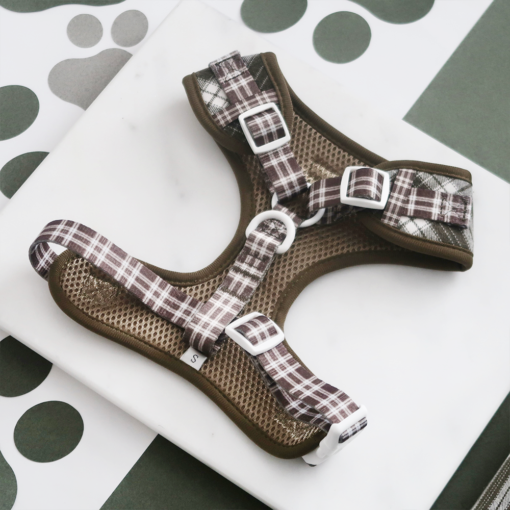 Olive Check Adjustable Neck Harness, Lead & Collar Bundle