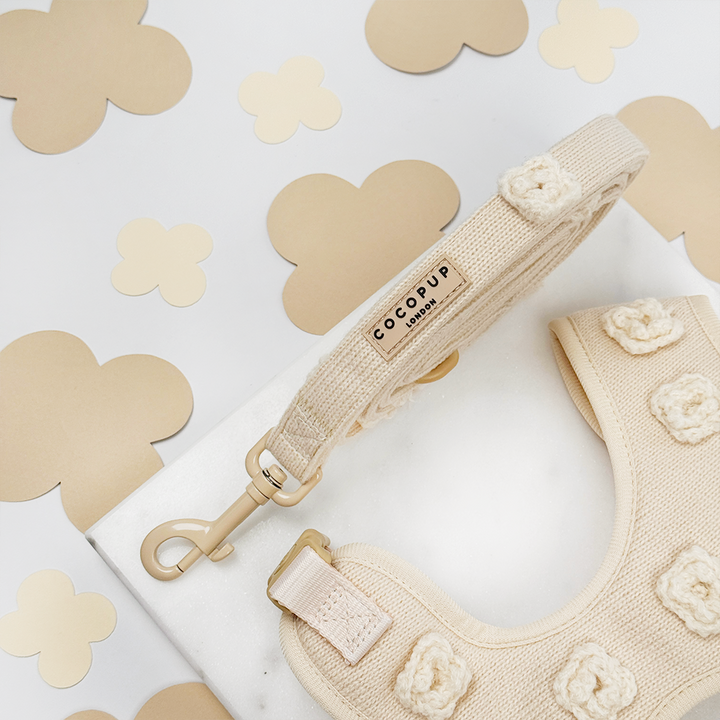 Cream knitted Dog Lead with a beige background. The Lead has knitted flowers sewn on. 