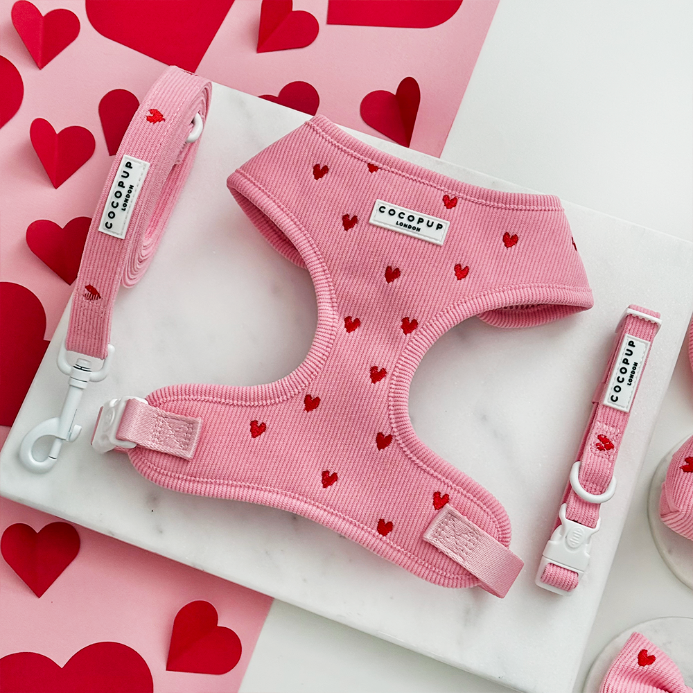 Pink Heartstrings Cord Adjustable Neck Harness, Lead & Collar Bundle