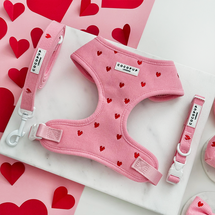 Pink Heartstrings Cord Adjustable Neck Harness, Lead & Collar Bundle
