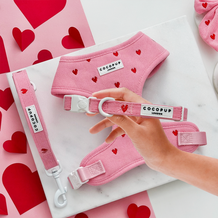 Pink Heartstrings Cord Adjustable Neck Harness, Lead & Collar Bundle
