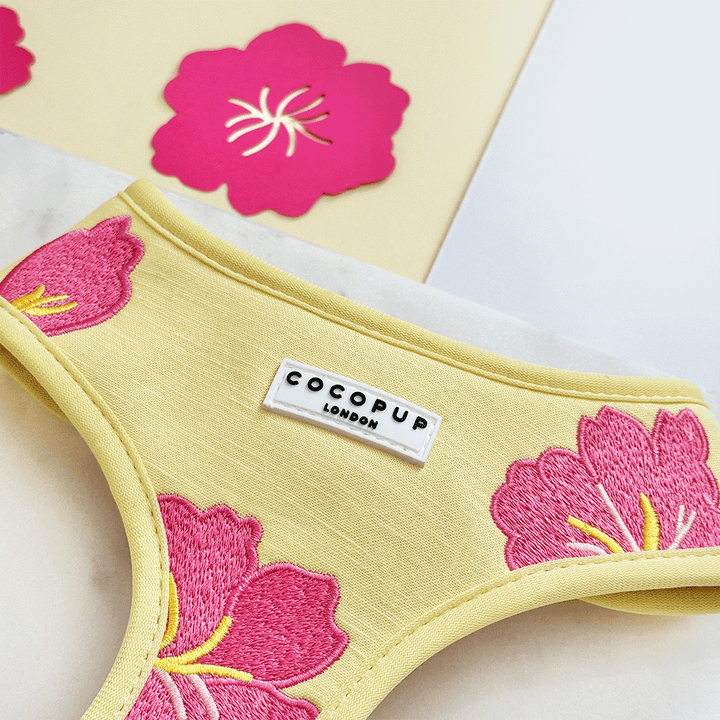 Pink Hibiscus Adjustable Neck Harness, Lead & Collar Bundle