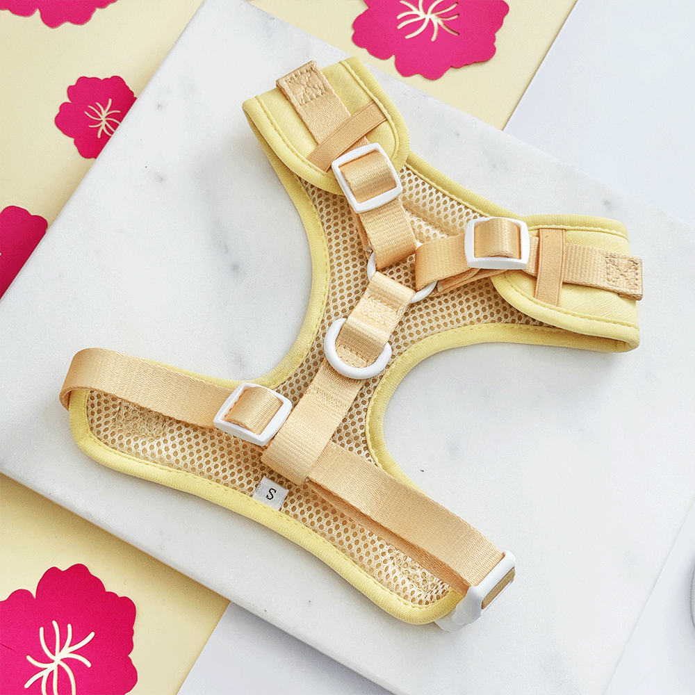 Pink Hibiscus Adjustable Neck Harness, Lead & Collar Bundle