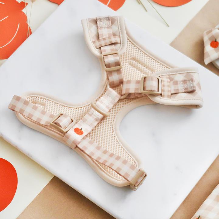 Pumpkin Patch Adjustable Neck HARNESS