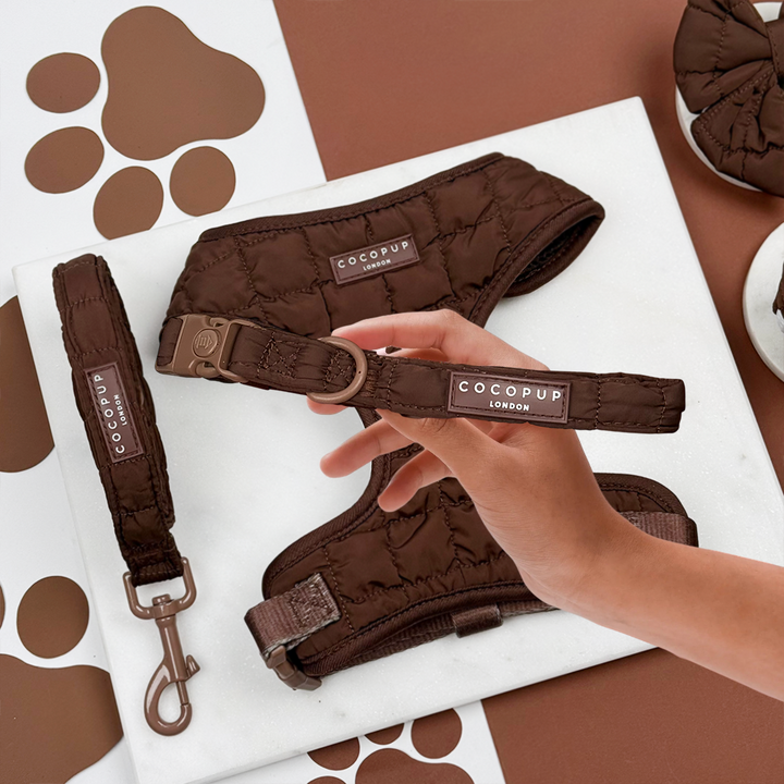 Espresso Quilted Adjustable Neck Harness, Lead & Collar Bundle