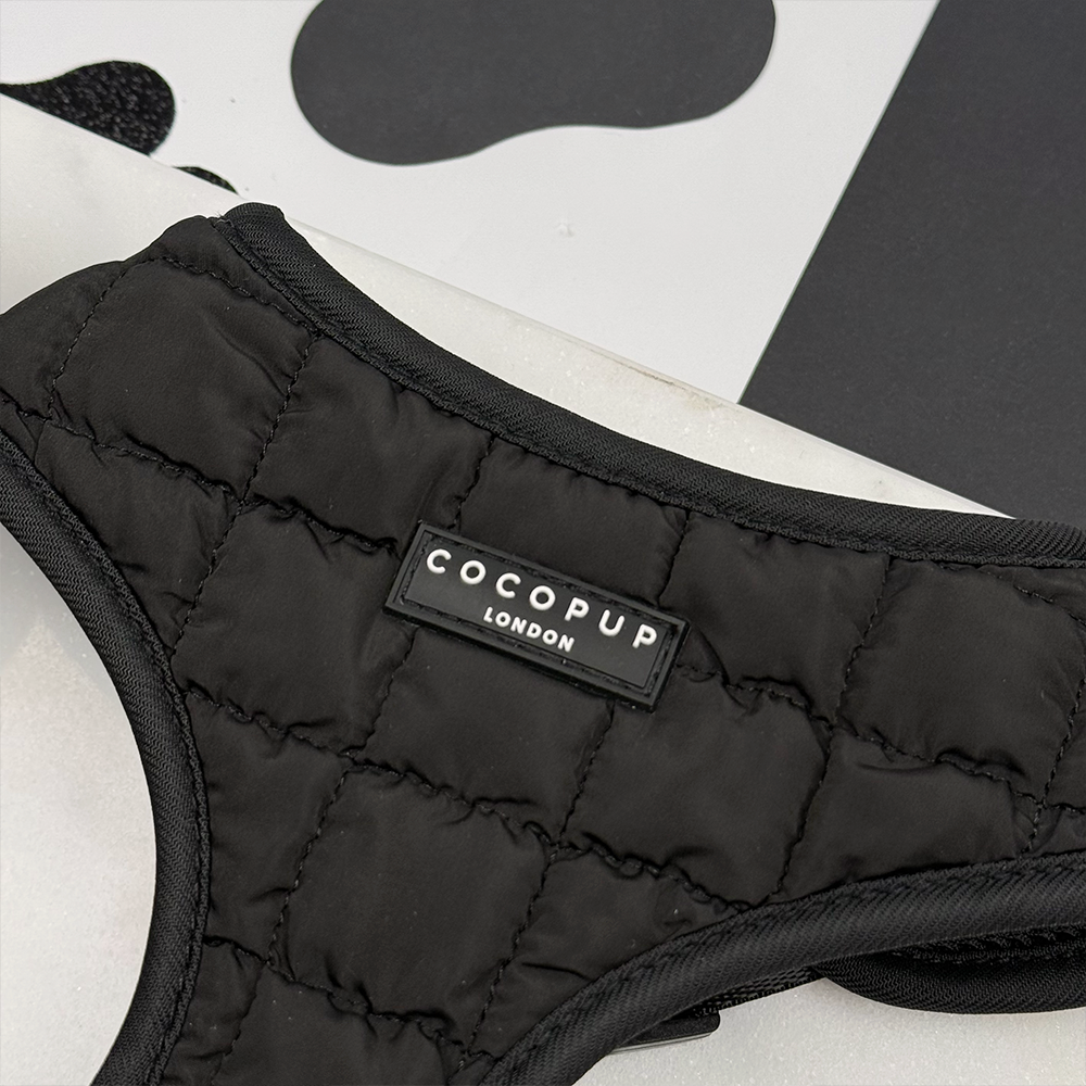 Onyx Quilted Adjustable Neck Harness, Lead & Collar Bundle