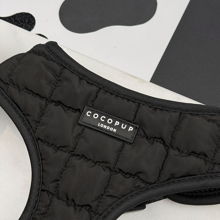 Onyx Quilted Adjustable Neck Harness, Lead & Collar Bundle