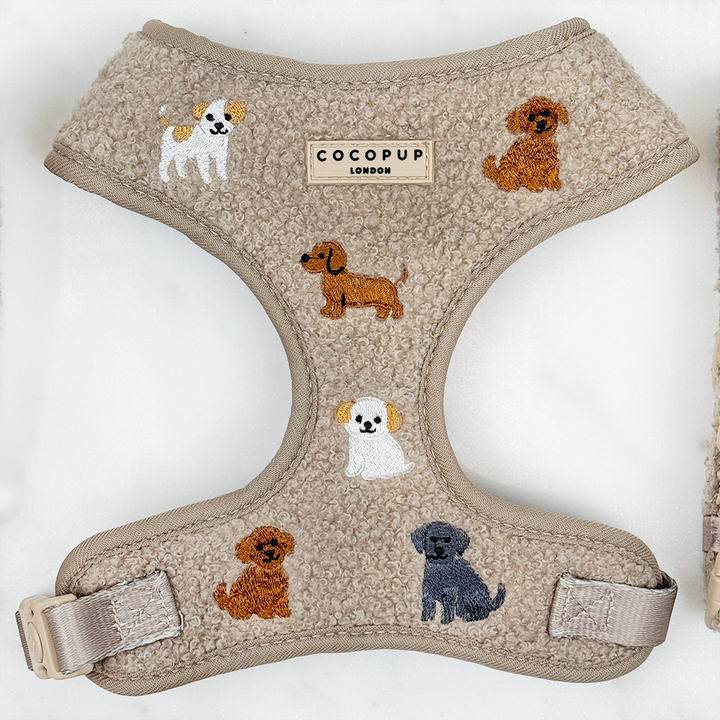 Ralph & Friends Mocha Teddy Adjustable Neck Harness, Lead & Collar Bundle