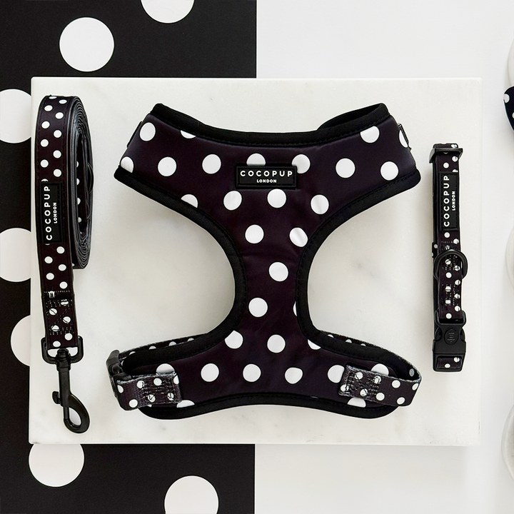 Satin Polka Dot Adjustable Neck Harness, Lead & Collar Bundle