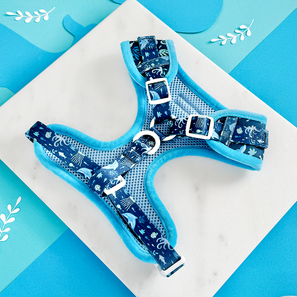 Sea Life Pawty Adjustable Neck HARNESS