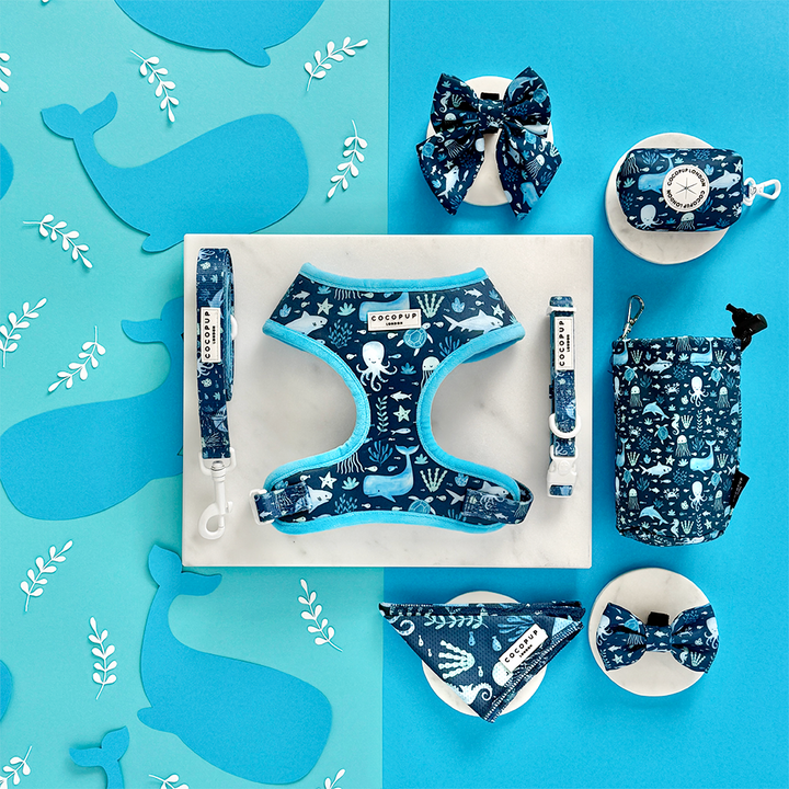 Sea Life Pawty Adjustable Neck Harness, Lead & Collar Bundle