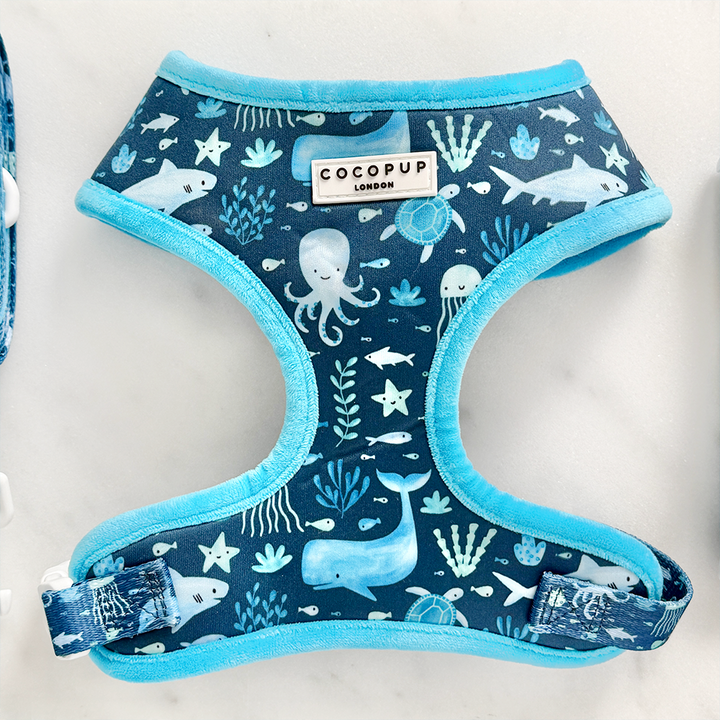 Sea Life Pawty Adjustable Neck Harness, Lead & Collar Bundle