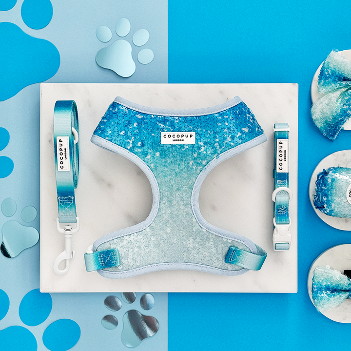 Seaside Shimmer Adjustable Neck Harness, Lead & Collar Bundle