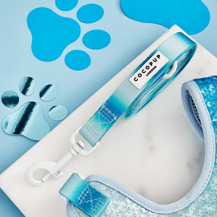 Seaside Shimmer Lead