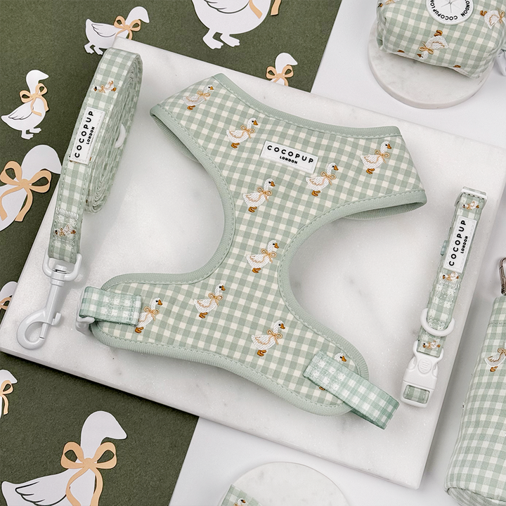 Green and white check print dog harness, collar and lead with embroidered geese design.