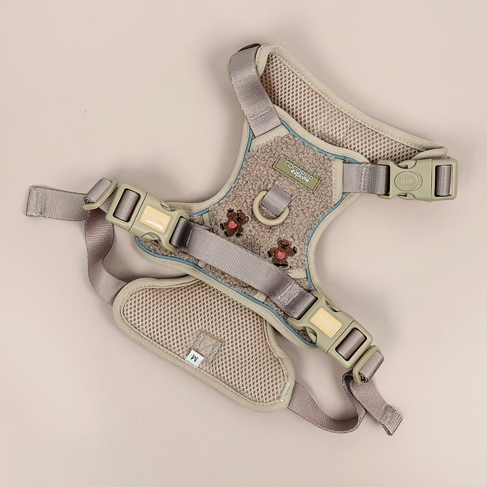 Explore Harness - Theo Embroidered Teddy