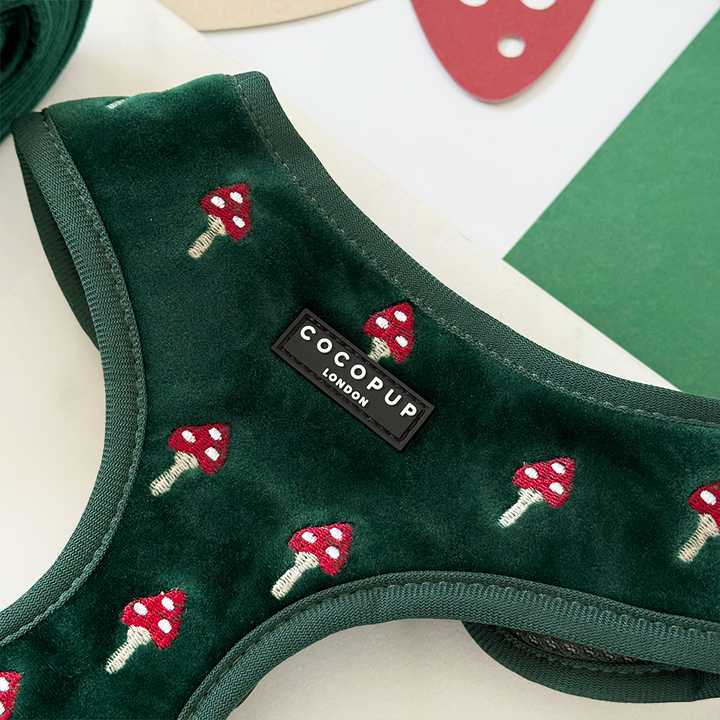 Toadstool Trails Adjustable Neck Harness, Lead & Collar Bundle