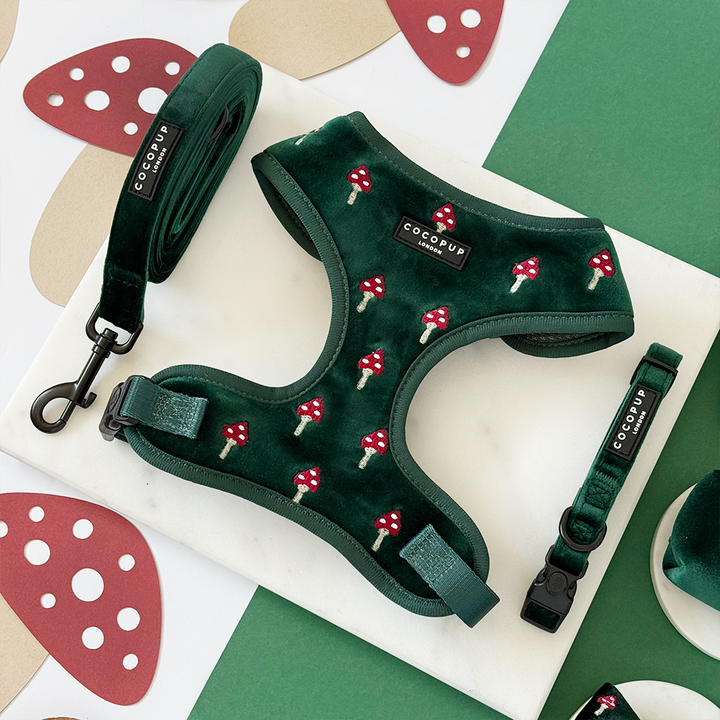 Toadstool Trails Adjustable Neck Harness, Lead & Collar Bundle