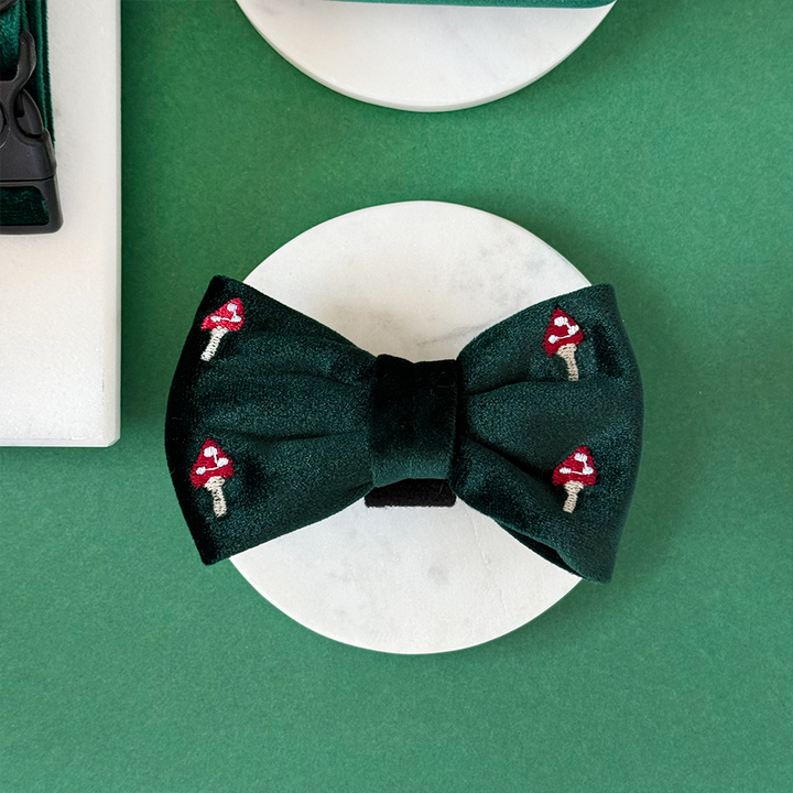 Toadstool Trails Bow Tie