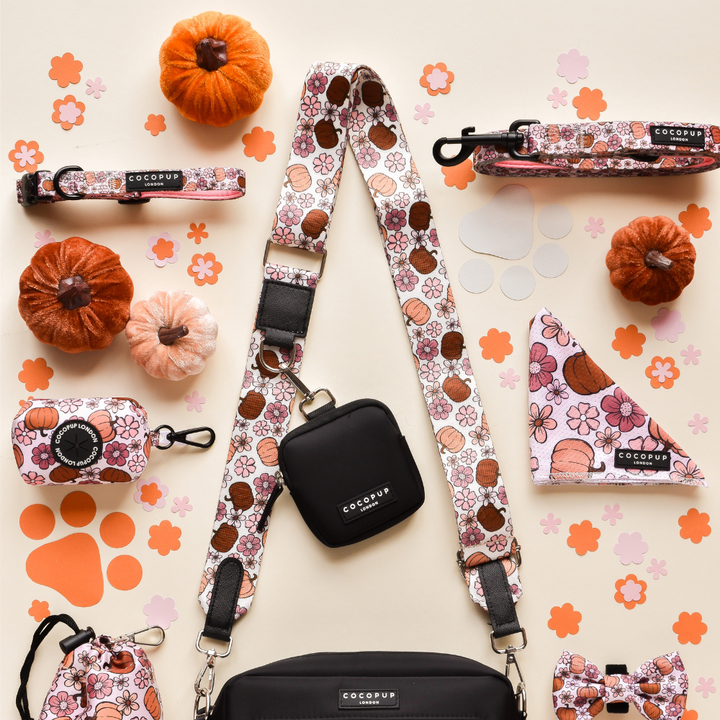 Dog Walking Black Bag Bundle - Pup-kin Meadow