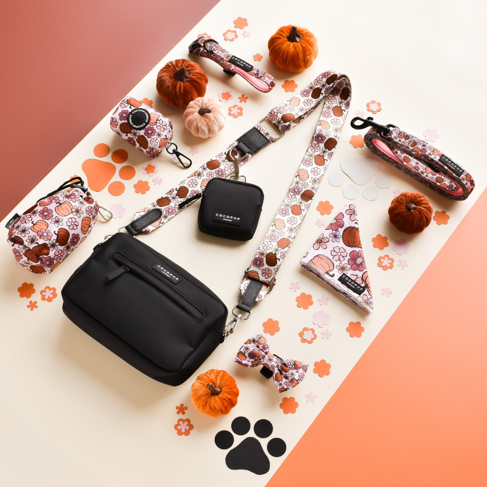 Dog Walking Black Bag Bundle - Pup-kin Meadow