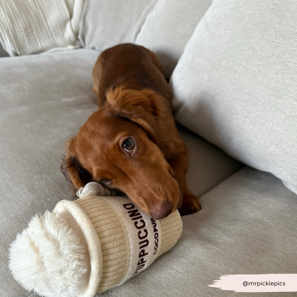 Puppuccino Dog Toy