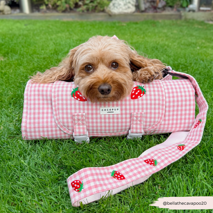 Travel Mat & Blanket Set - Strawberry Picnic Pup