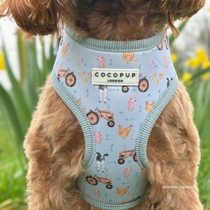 Barnyard Buddies Adjustable Neck HARNESS