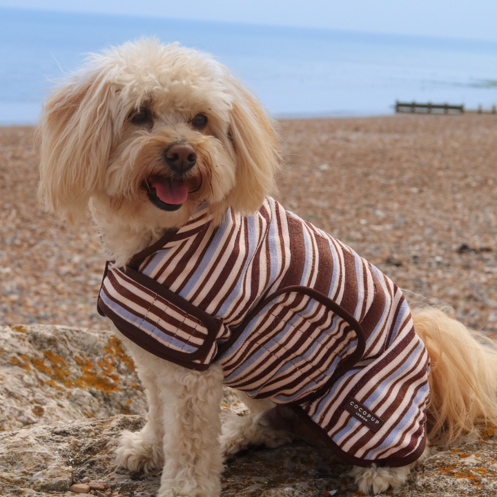 Brown & Blue Stripes Drying Robe