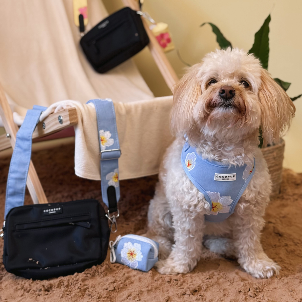 Dog Walking Bag Bundle - Blue Lagoon