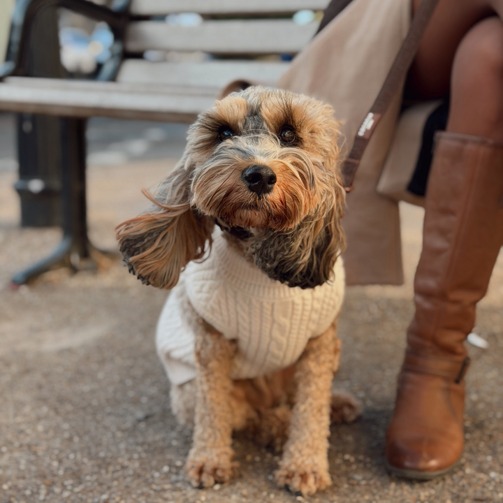 Jumper - Cable Knit White Mocha