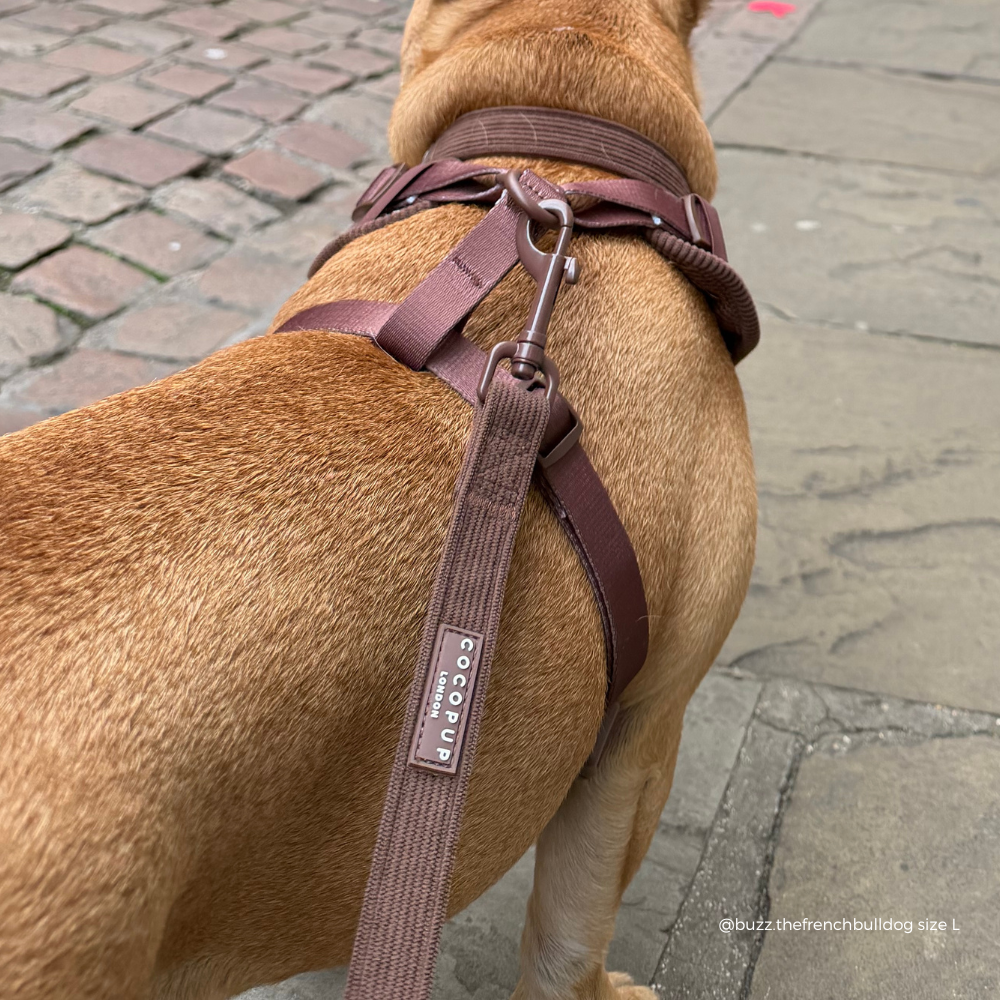 Brown ribbed dog lead with Cocopup logo badge.