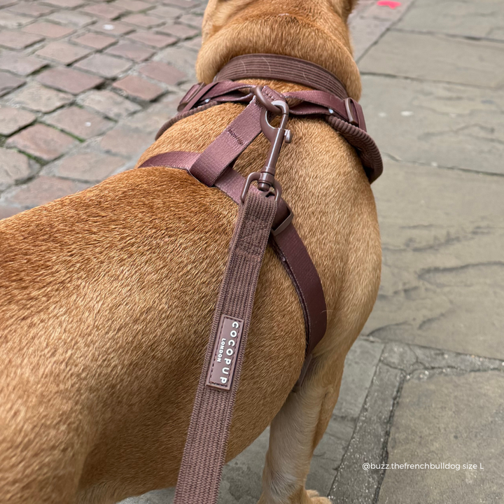 Brown ribbed dog lead with Cocopup logo badge.