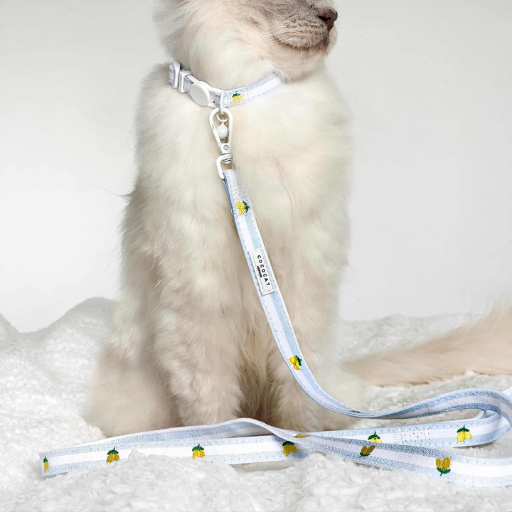 Cat Lead - Living La Vida Lemon