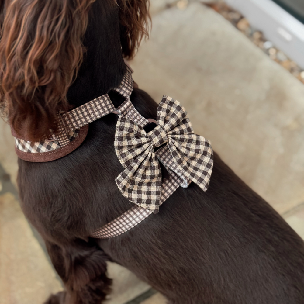 Cotswold Check Sailor Bow Tie