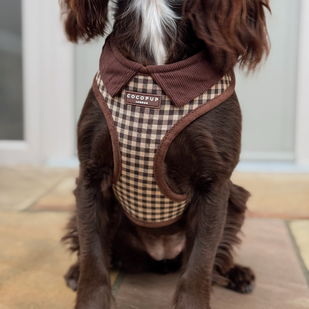 Cotswold Check Adjustable Neck Harness, Lead & Collar Bundle