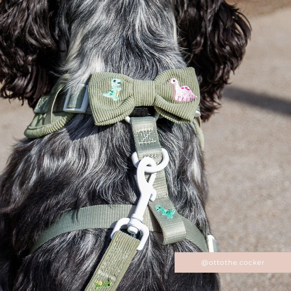 Dino Doodles Bow Tie