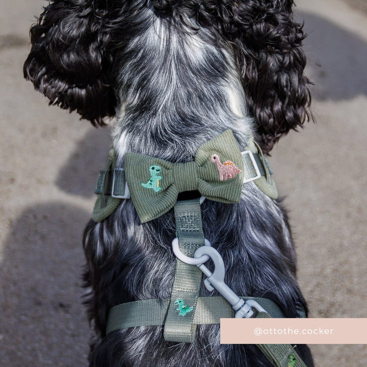 Dino Doodles Bow Tie