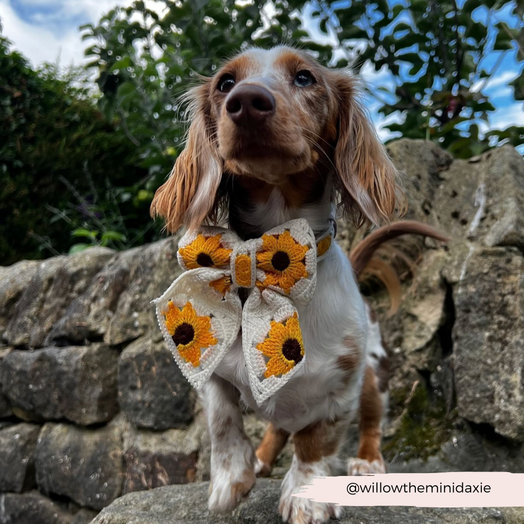 Sunflower Patch Sailor Bow Tie