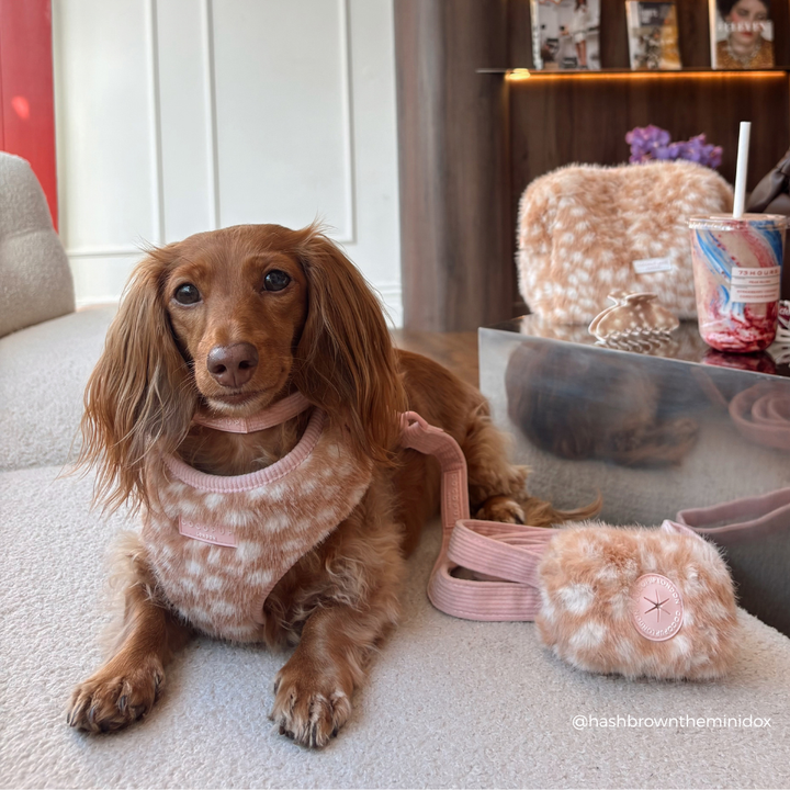 A long-haired brown dog lies on a light carpet wearing a pink and cream patterned fawn harness, with a matching plush pouch and leash beside it in a home interior.