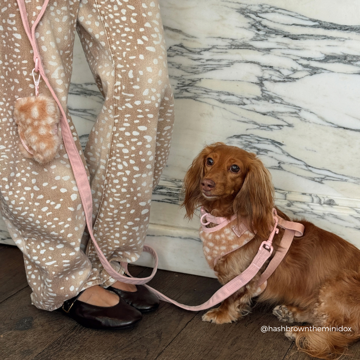 A brown dachshund wearing a pink and fawn harness and matching leash sits next to a person wearing beige and white spotted pants and dark brown flats, set against a white marble wall and dark wood floor.