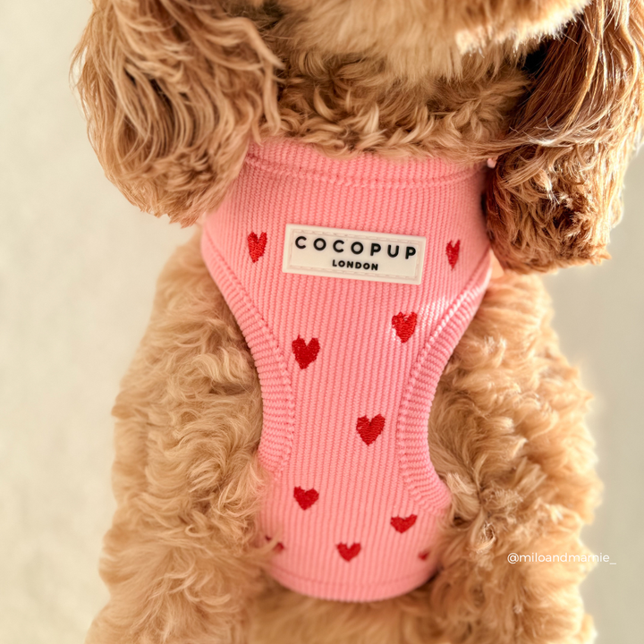 Pink Heartstrings Cord Adjustable Neck Harness, Lead & Collar Bundle